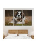 St. Bernard Köpek ve Yavru Kediler Dekoratif Kanvas Tablo 1124