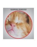 Yavru Kedi Dekoratif Kanvas Tablo 1125